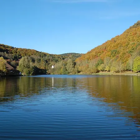 Holunder Nah Am Waldsee 1 Rieden (Mayen-Koblenz)