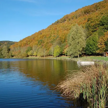 Holunder Nah Am Waldsee 1