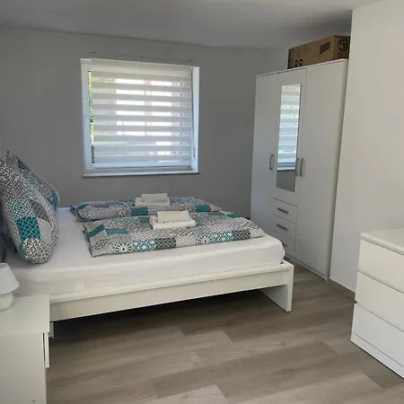 Holunder Nah Am Waldsee 1