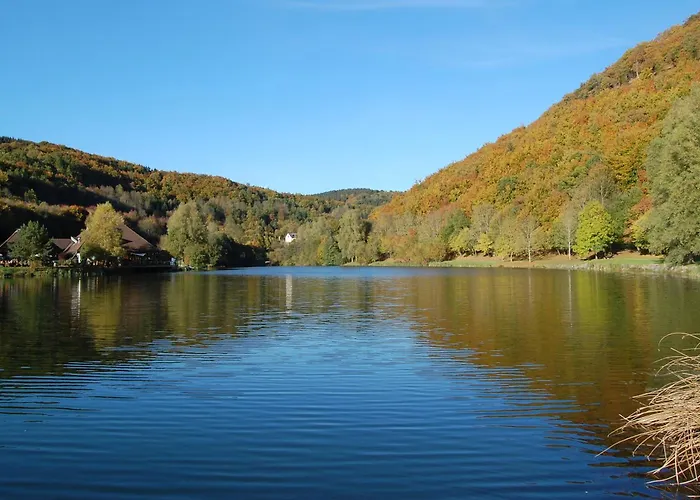 Holunder Nah Am Waldsee 1 Rieden (Mayen-Koblenz)