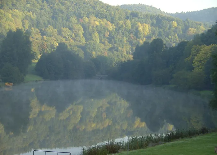 Holunder Nah Am Waldsee 1 * Rieden (Mayen-Koblenz)
