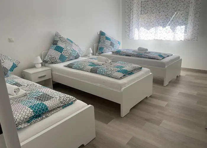 Holunder Nah Am Waldsee 1 *