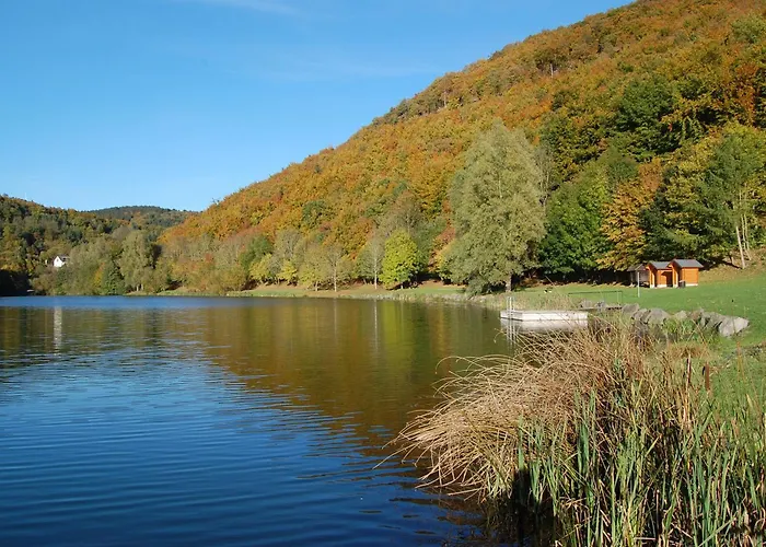 Holunder Nah Am Waldsee 1