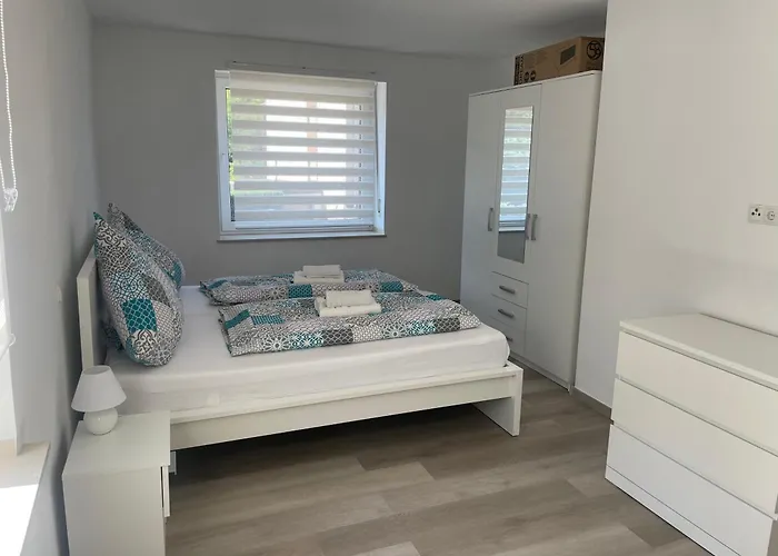 Holunder Nah Am Waldsee 1